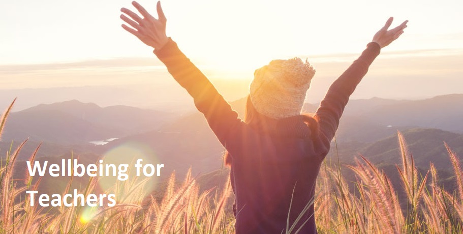 Wellbeing911x473 Wellbeing911x473